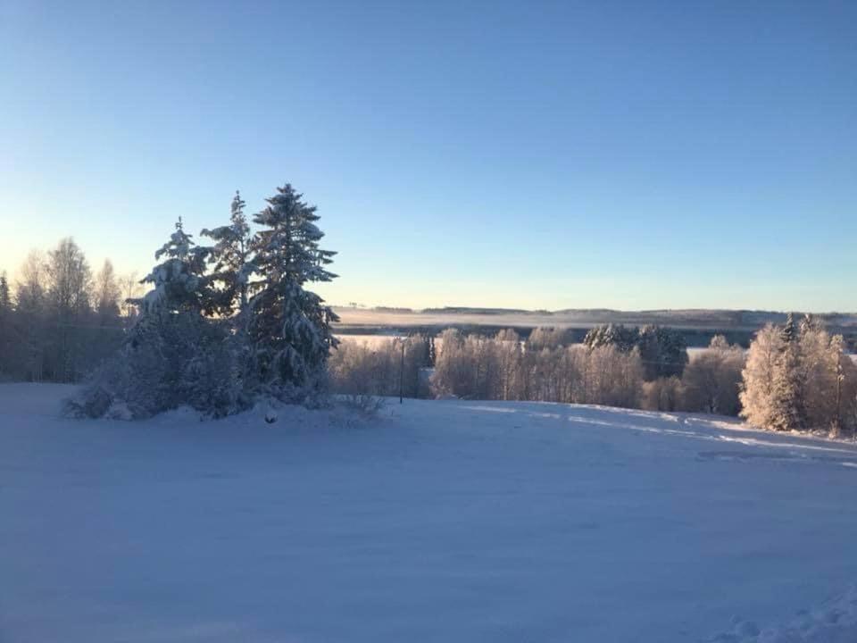 Suitetrails - Mysig stuga på hästgård i vackra byn Nästeln nära Klövsjöfjällen