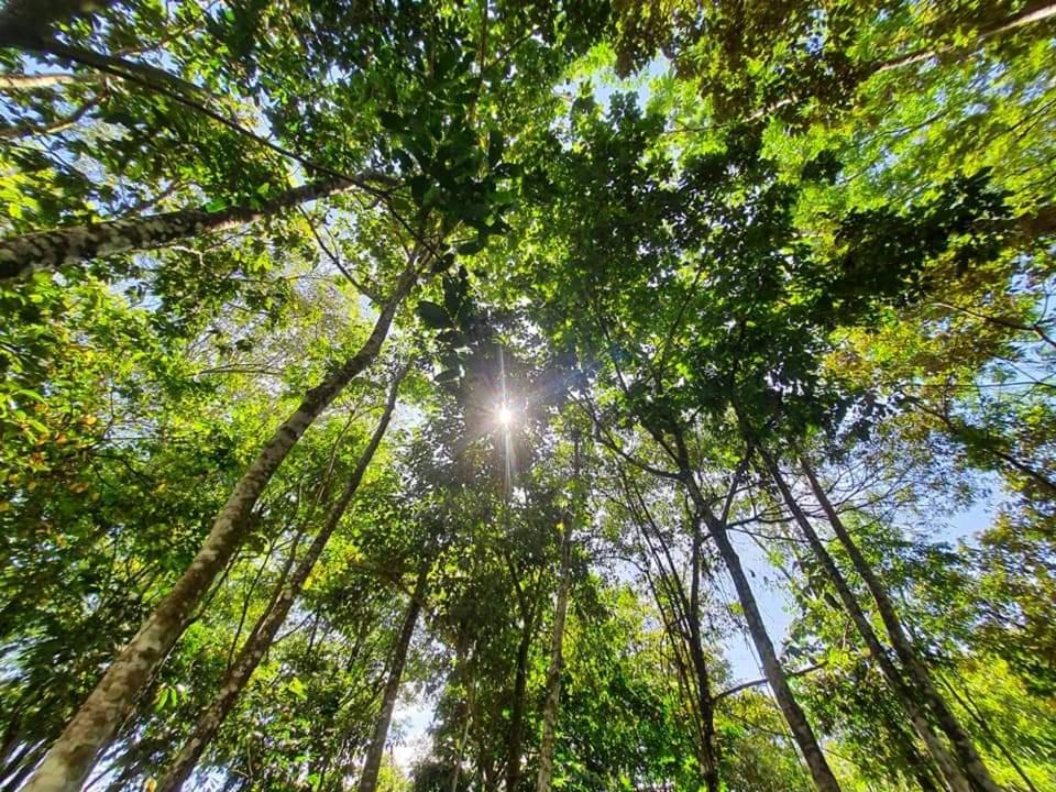 Hotel Casa Blanca - Housity