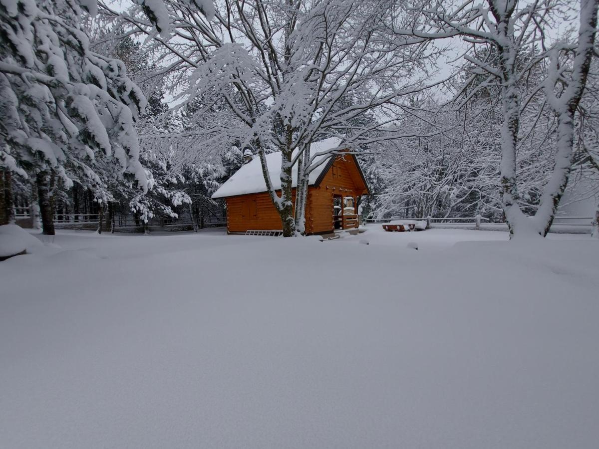 Cabin House Hidden Nest - Housity