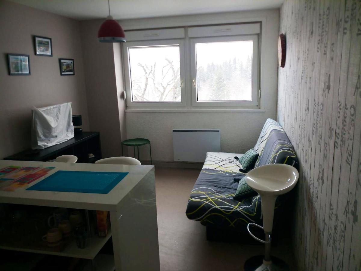 Studio a Gerardmer a 800 m des pistes avec vue sur la ville - Housity