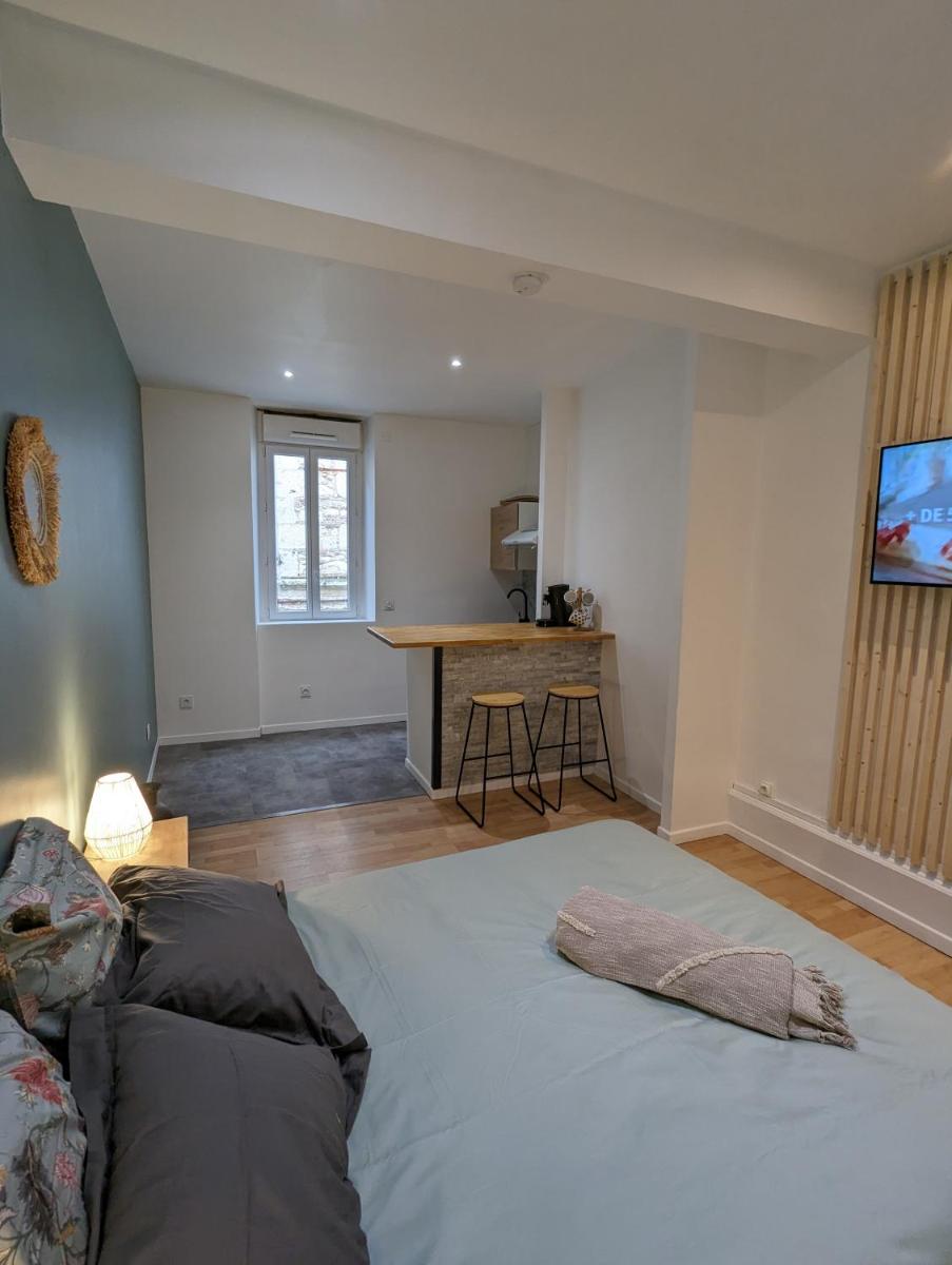 1er Grand Studio Hyper Centre Agen Calme Clim - Housity