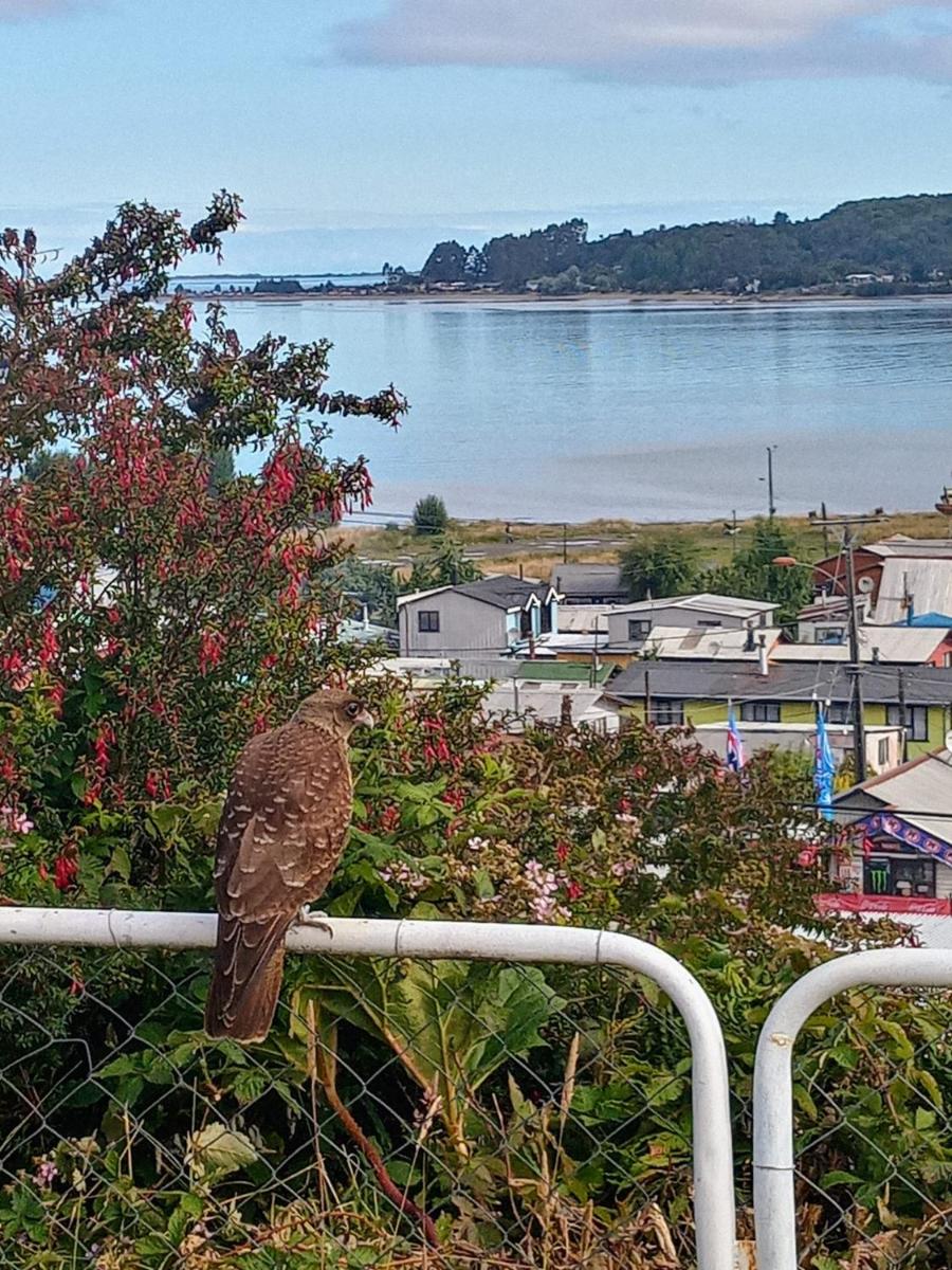 CABAÑAS QUELLON - Housity