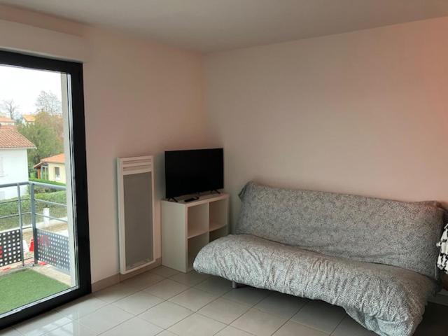 STUDIO BORDEAUX - Hizvo