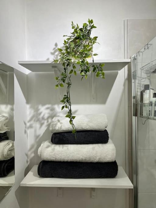 Boutique penthouse apartment with rooftop terrace - Housity