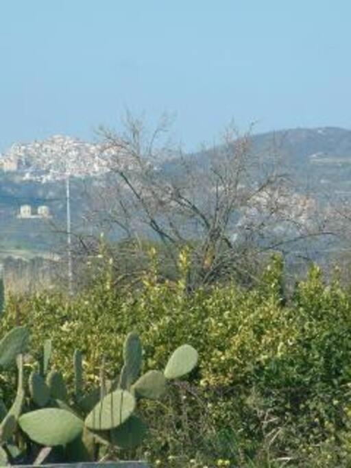 Stignano Mare, near Caulonia, Calabria, Italy - Housity