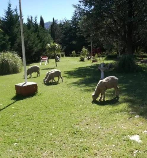 La Zelinda casa de campo - Housity