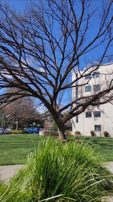 Sunny 2-Bedroom Apartment @the Heart of Canberra - Housity