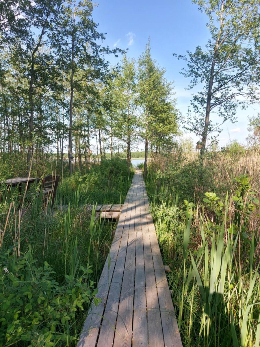 Domek Lawendowy nr 4 - Housity