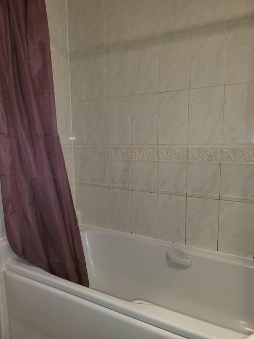 Comfy 1 bedroom apartment - Housity