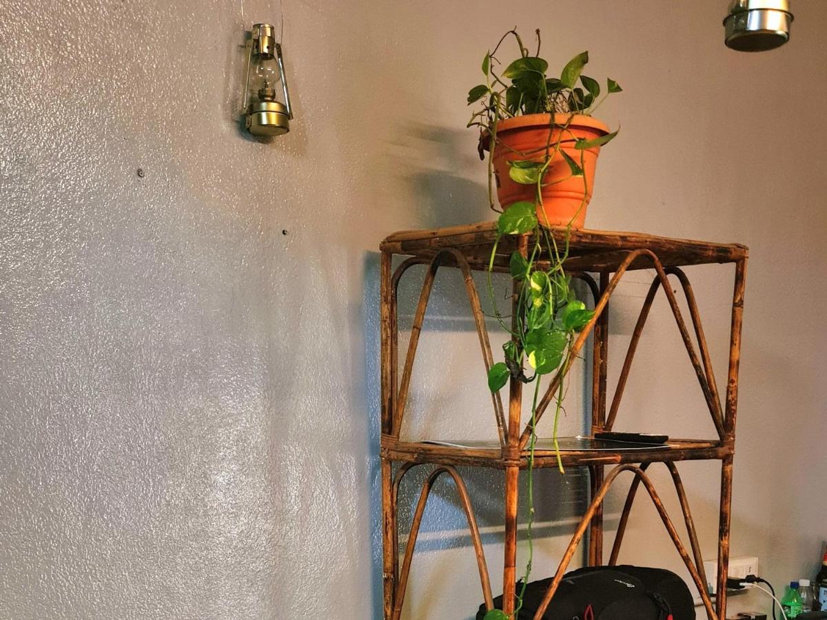 Staynature - Housity