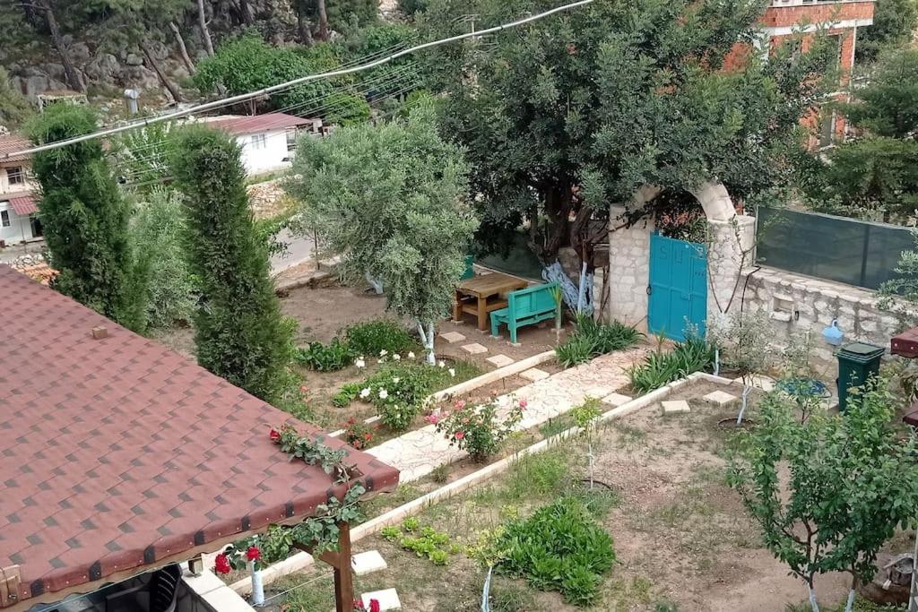 Villa Orion - Housity