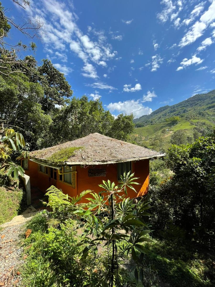 Cabaña Morada del Colibrí - Housity