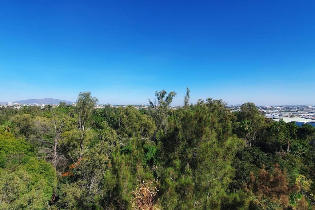 Hermoso departamento céntrico con Increíble vista - Housity