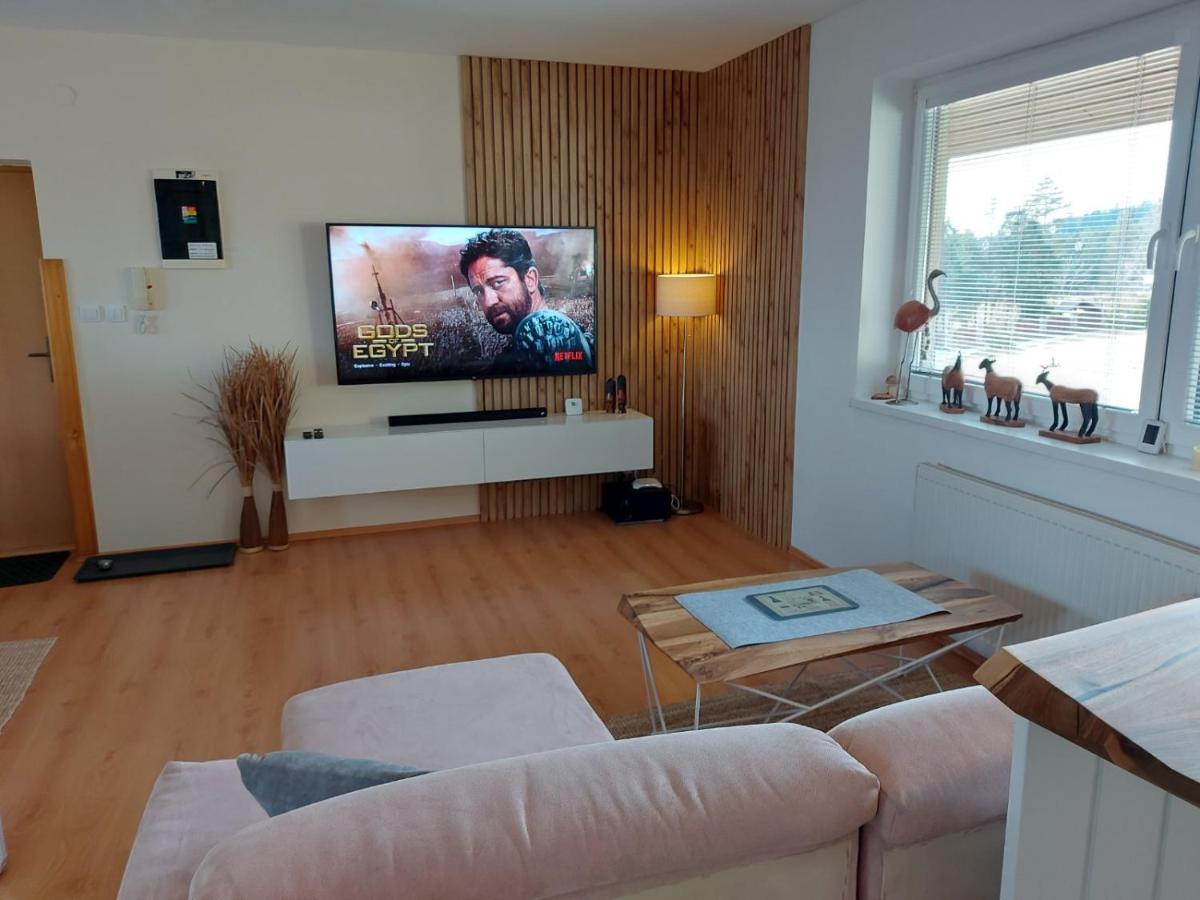 Apartment SKI-BIKE-HIKE, Vyšné Ružbachy - Housity