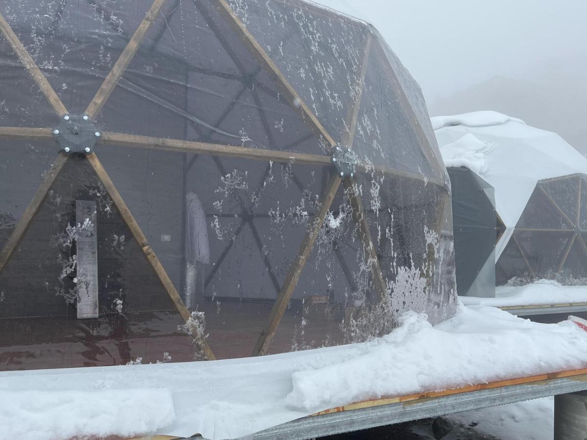 igloo house - Housity