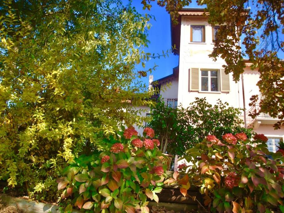 Il Villino Rosa - Housity