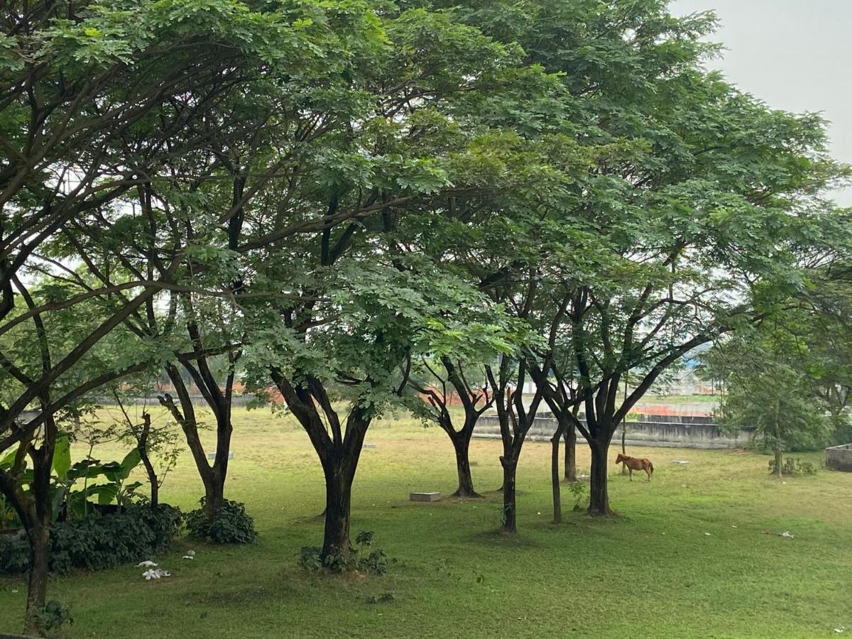 Mitera home, Ashulia, Savar - Housity