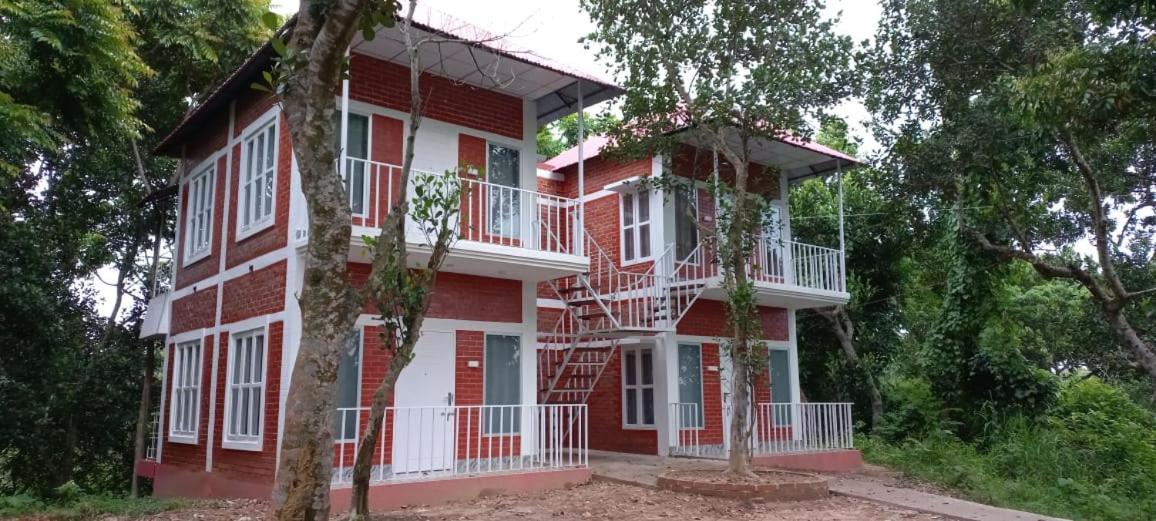 Jungle cottage - Hizvo