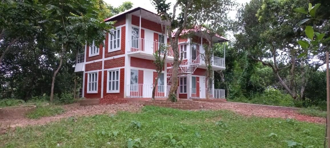 Jungle cottage - Hizvo
