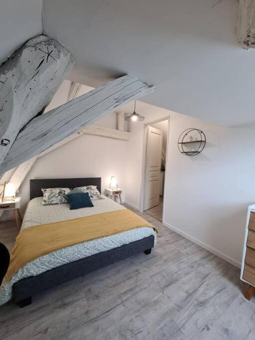 Centre ville 3 pièces envoûtant sous combles 40m² - Housity