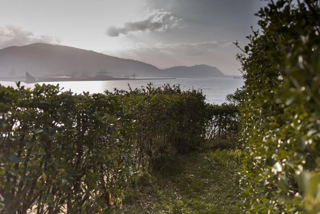 Flat with 160m of Garden Sea Views Bilbao-Getxo - Housity