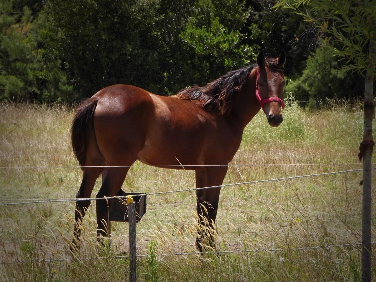 Bahía de cimarrones - Housity