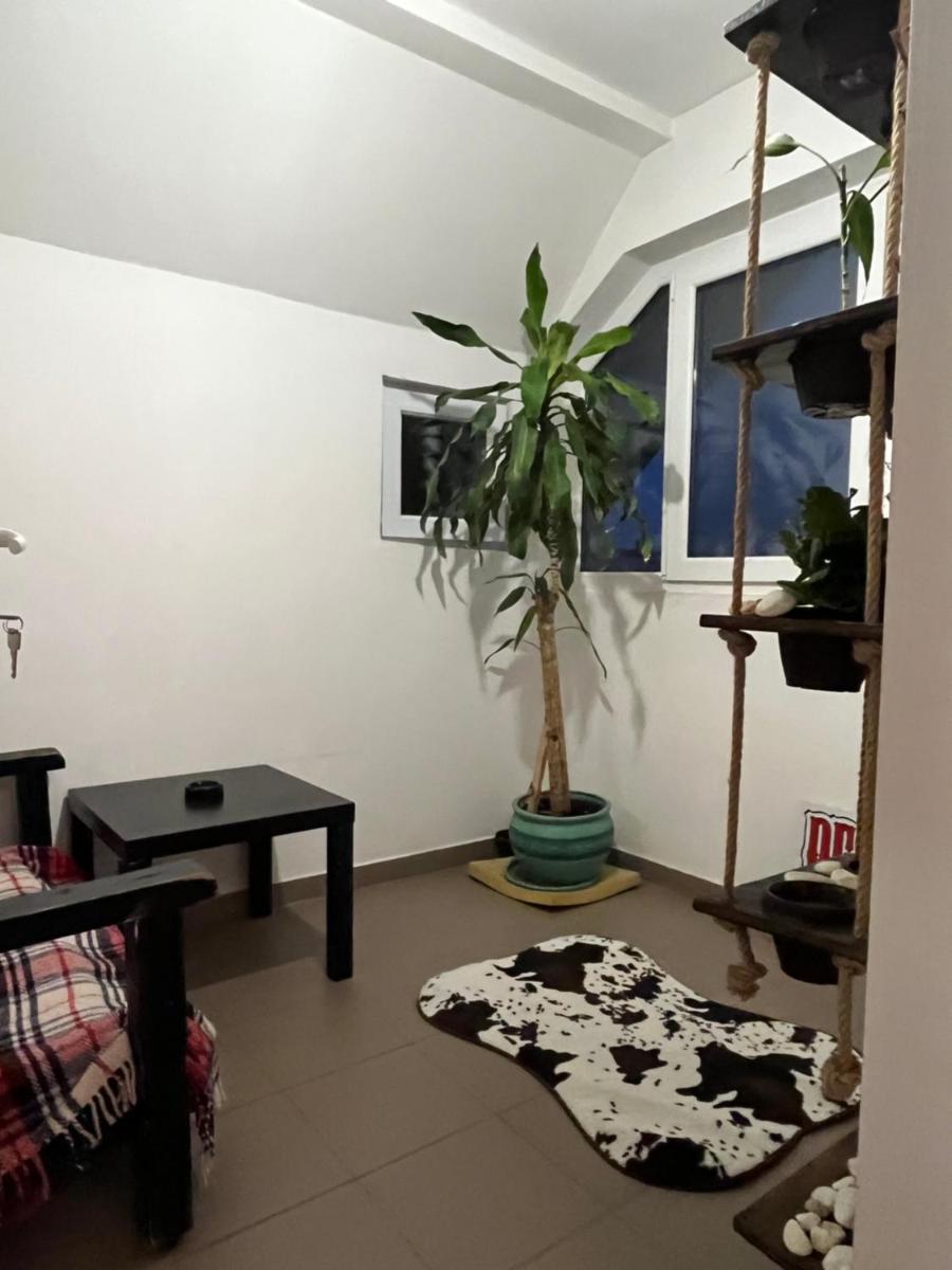 O mansarda intima :) - the intimate attic :) - Housity