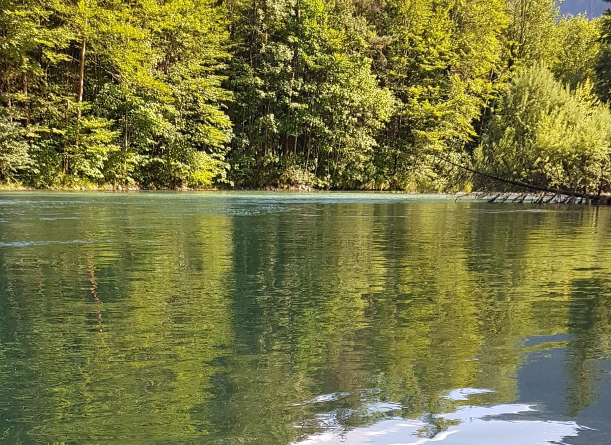 Hof zur Steinwänd - Housity