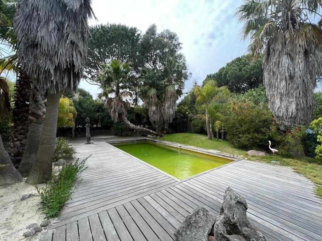 Villa tropezienne - Housity