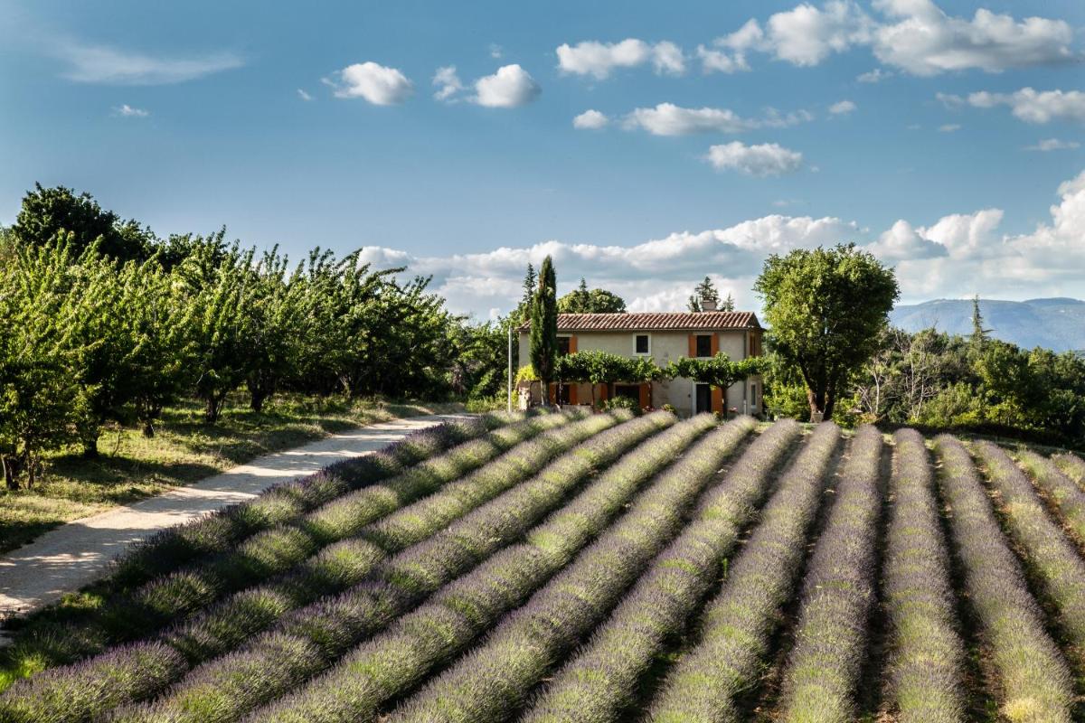 Gîte St Roch en Luberon - Housity