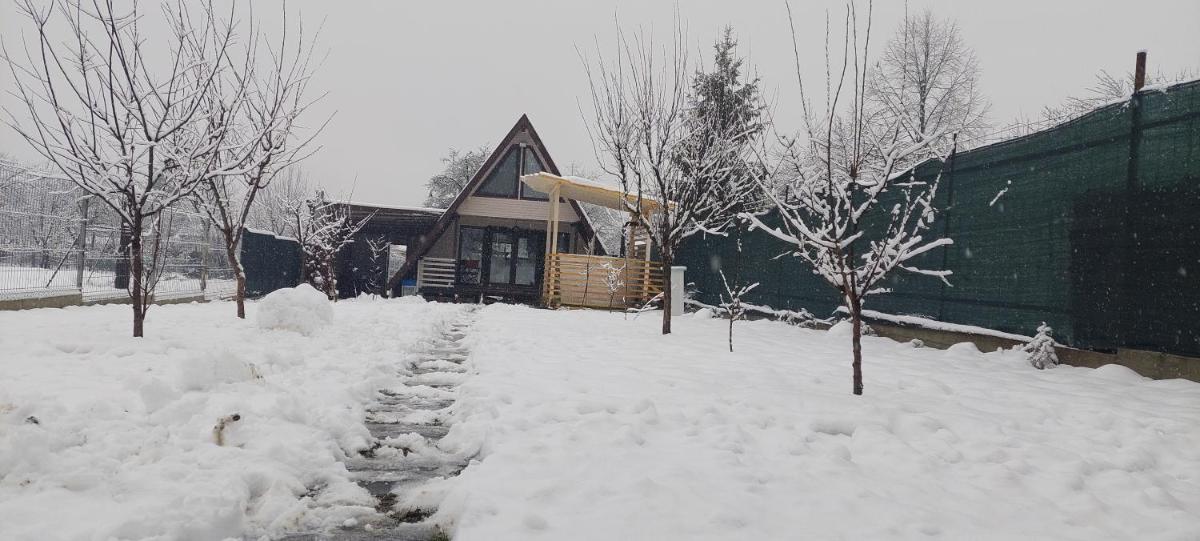 Cabana La Bica - Housity