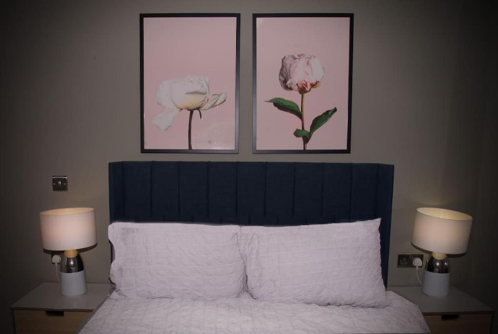 Cozy Cool apartment - Housity
