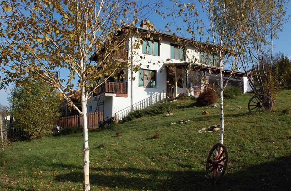 Guest House Jane - Housity