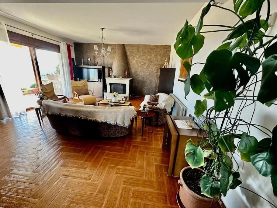 Sunny Villa - Housity