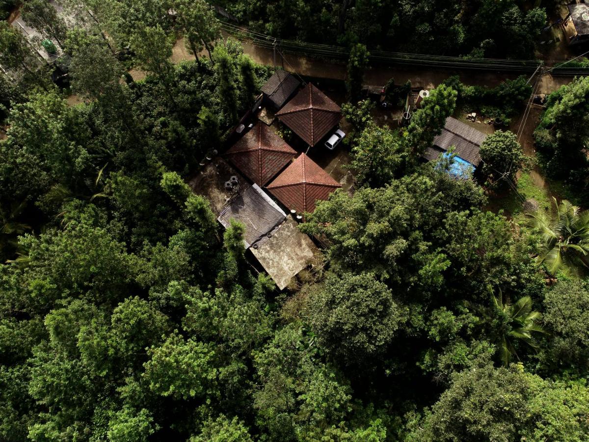 FoRest cottage coorg - Housity