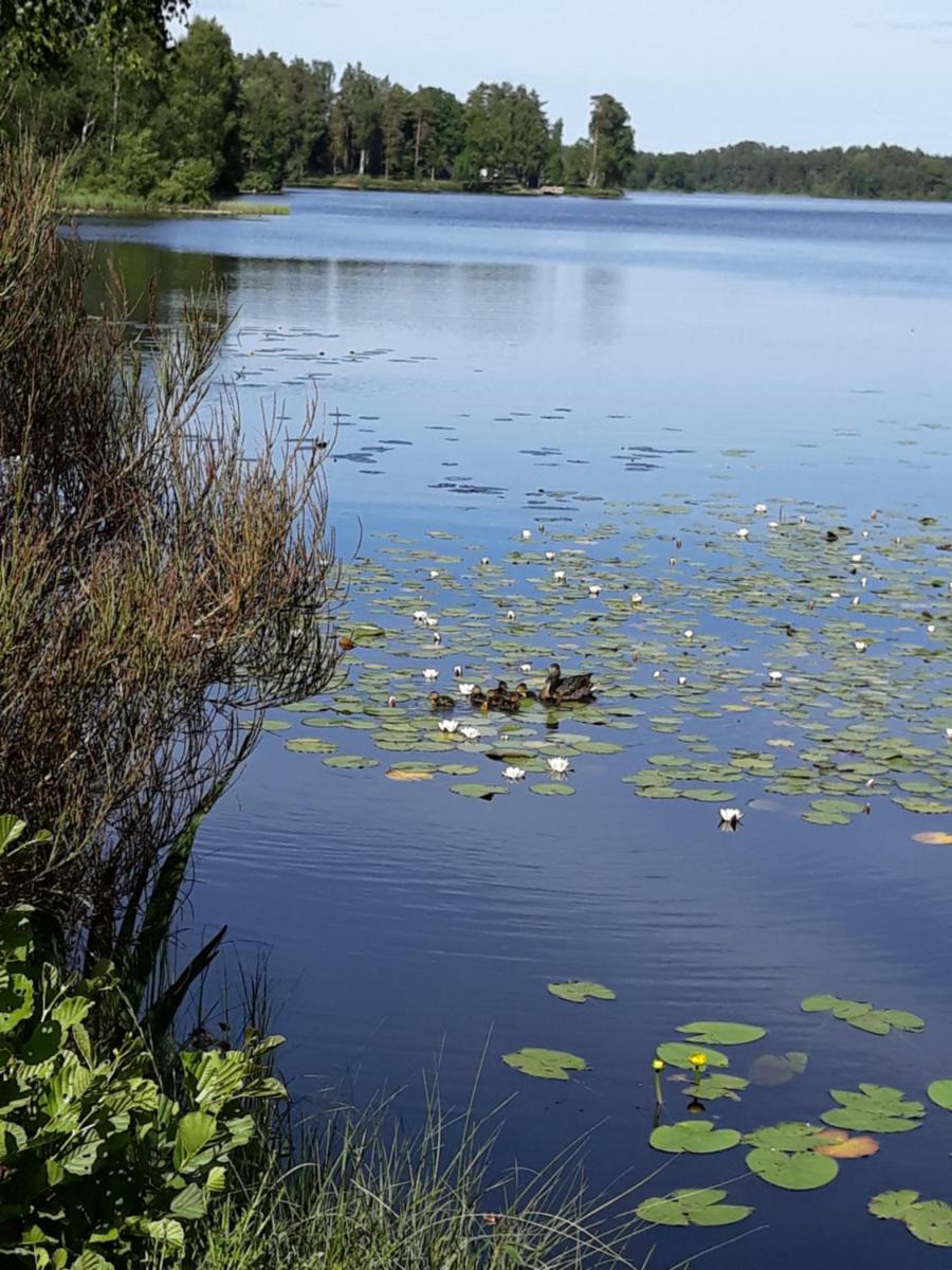 Unterkunft am See - Housity