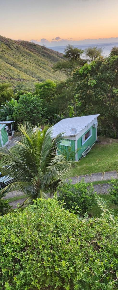 Will Container Experience - Housity