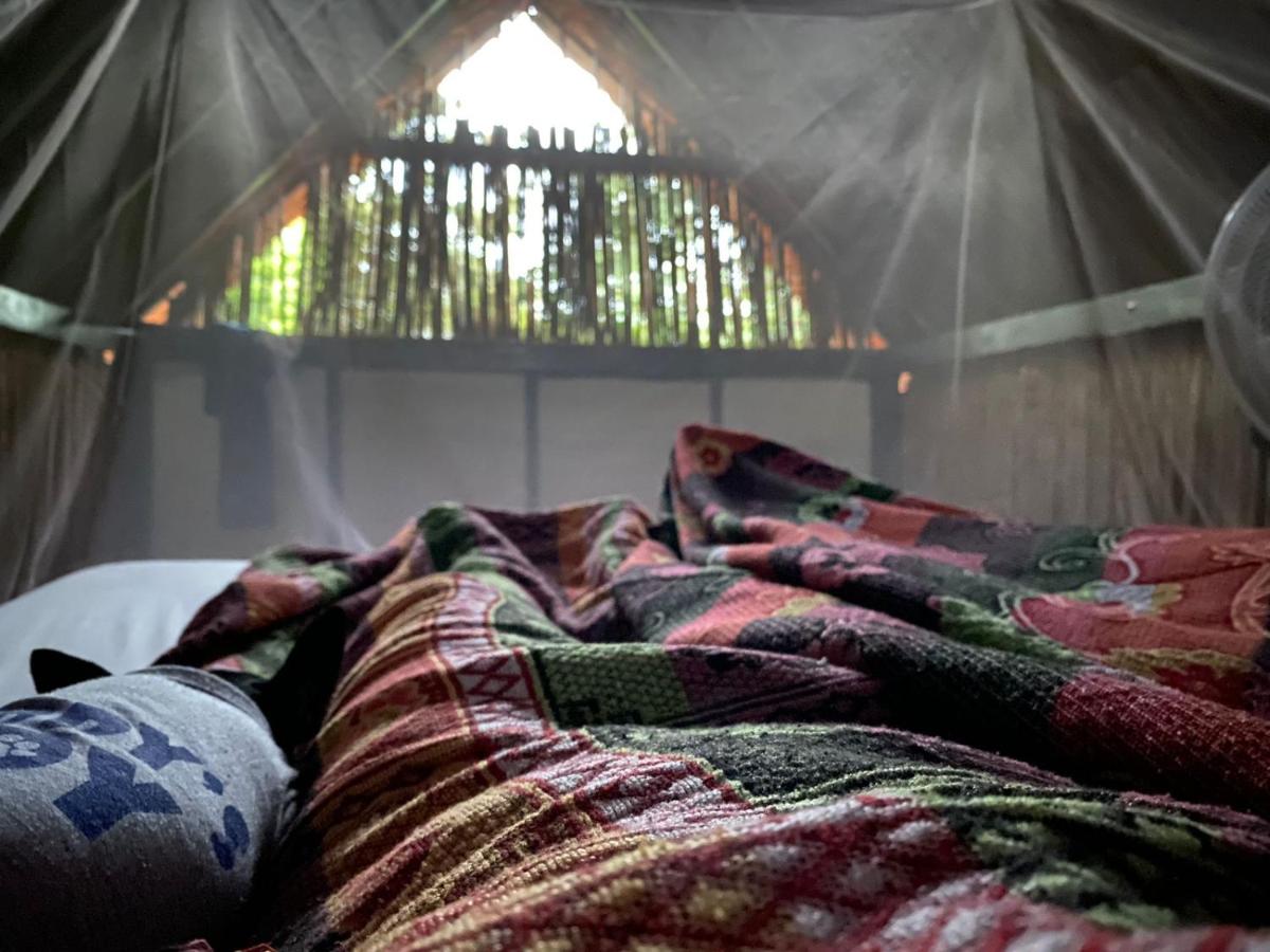 BONITA HOSTEL - Housity