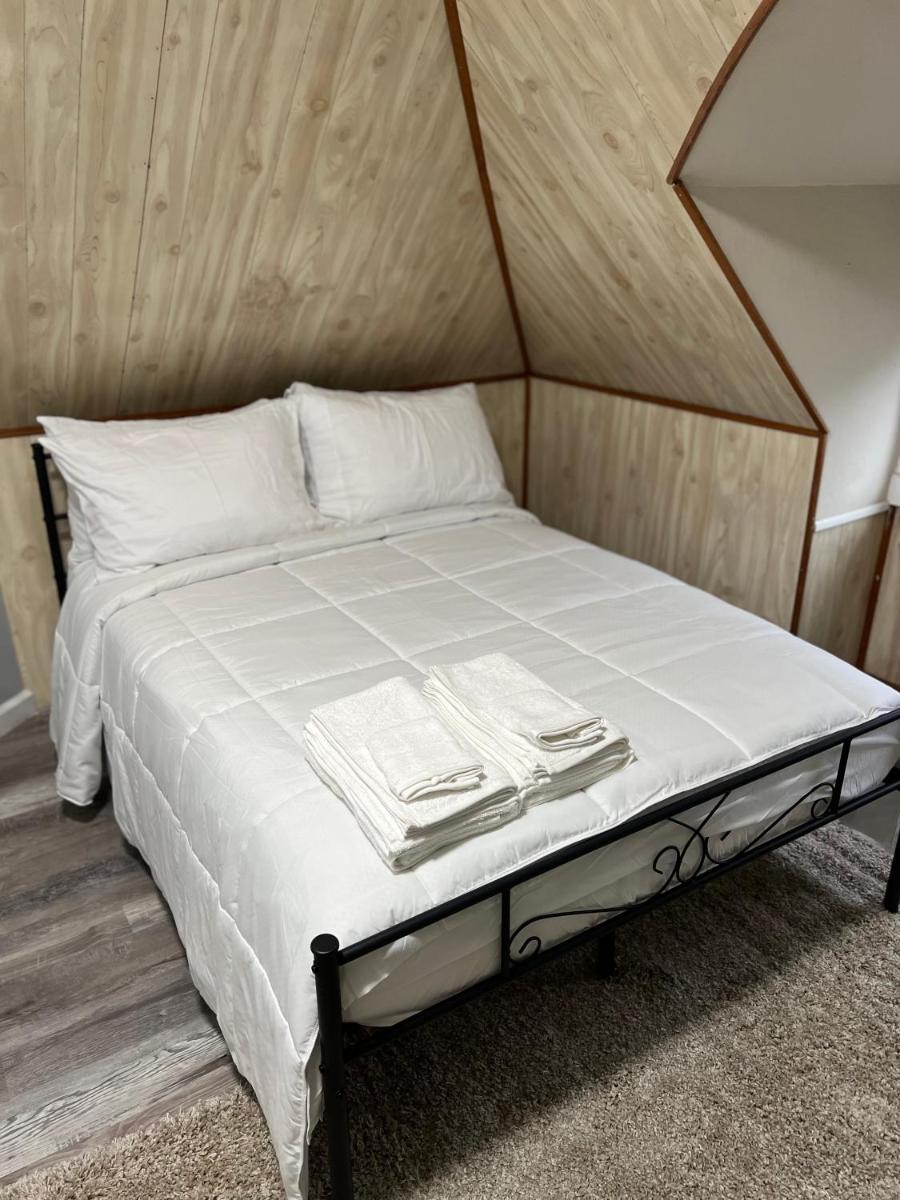 Santa Cruise Rooms - Housity
