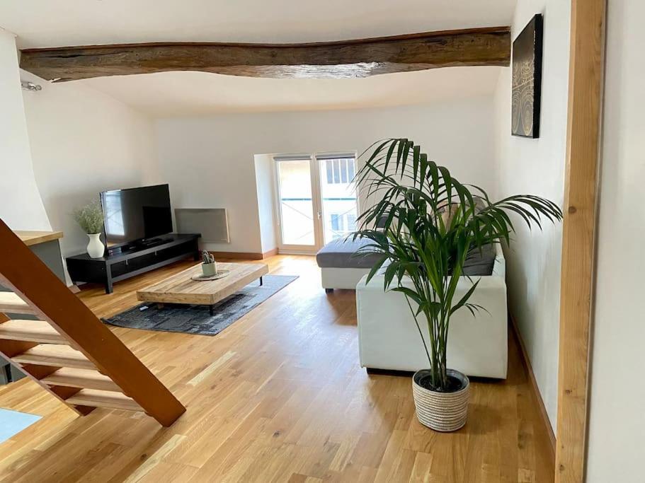 Appartement Spacieux Centre Ville - Housity