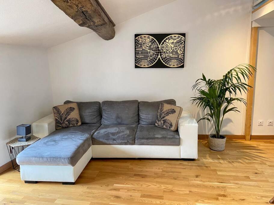 Appartement Spacieux Centre Ville - Housity