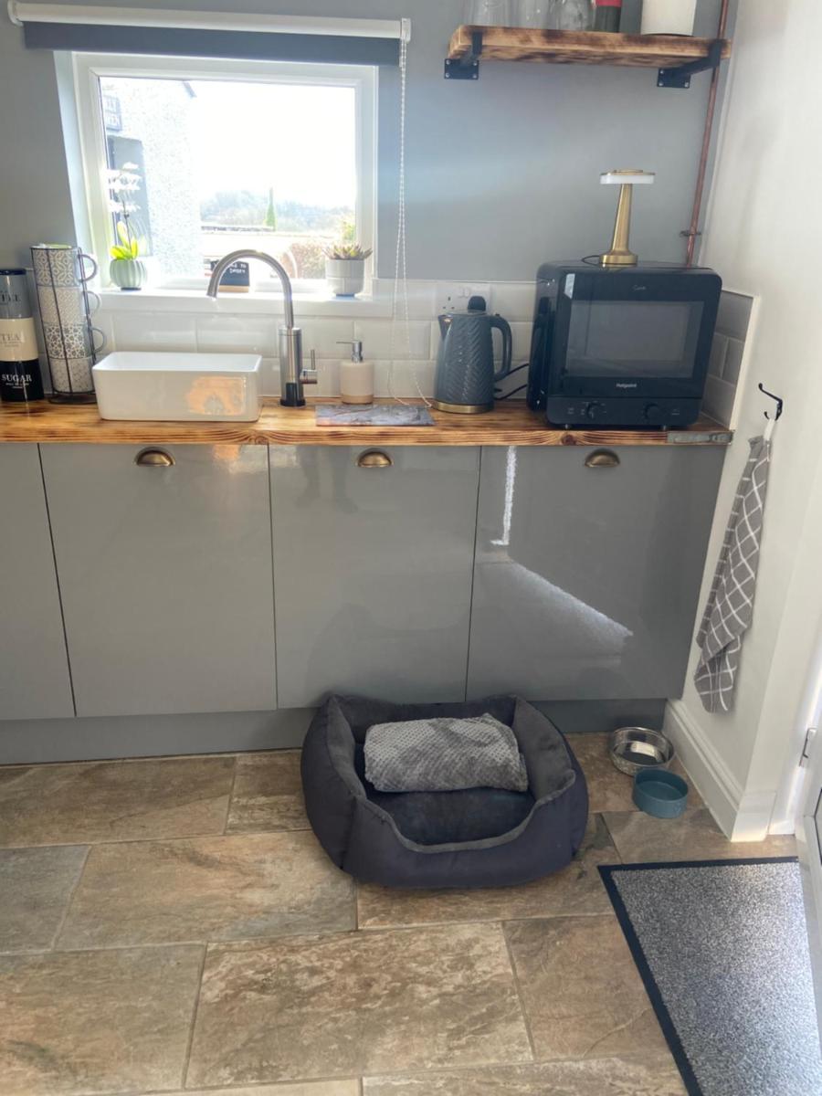 Adorable bedsit for you, partner and your pet! - Housity