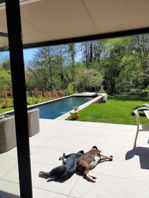 Suitetrails - Maison climatisée avec piscine a 20 minutes de ST EMILION