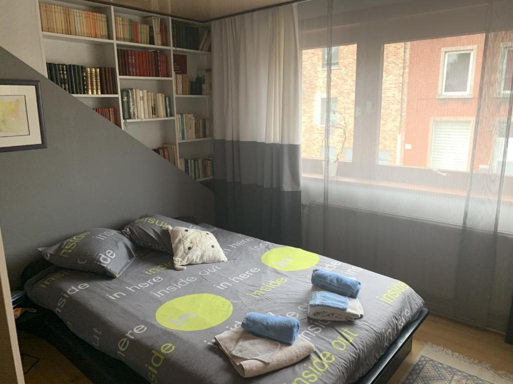 Suitetrails - Chambre d'hôte L'Écureuil proche de Mons, Pairi Daiza et Spark Ok