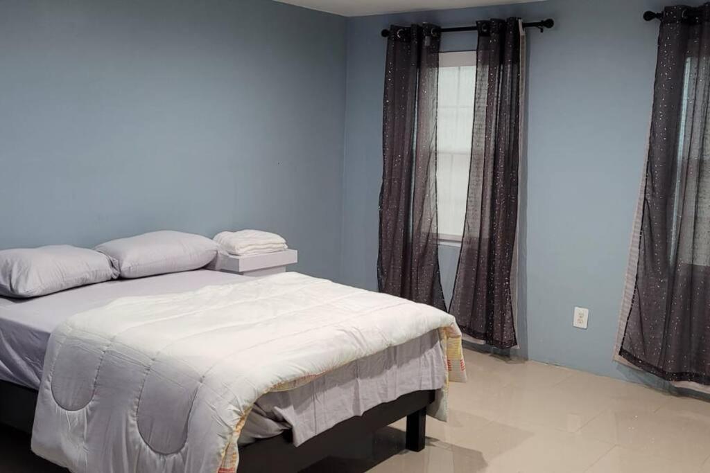 BRAND NEW modern style home - Housity
