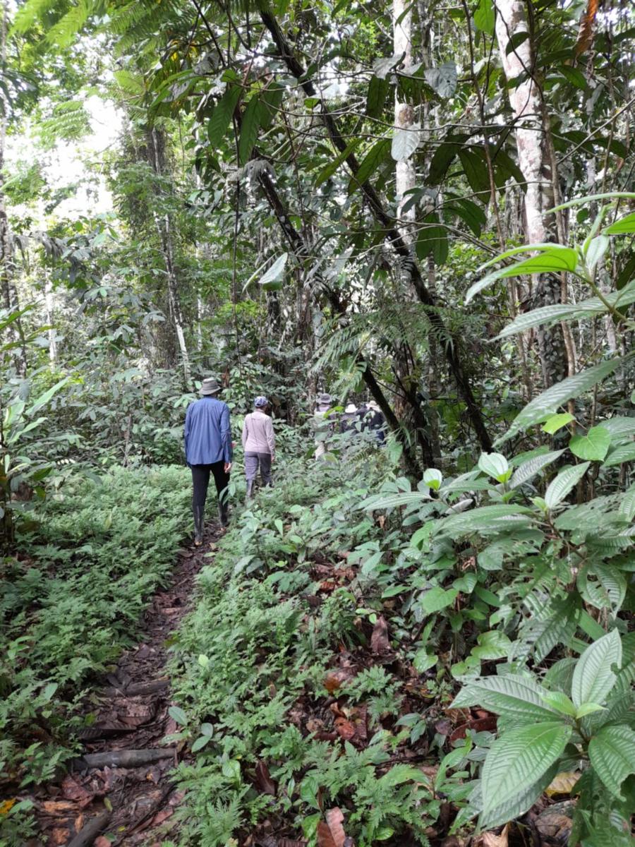 Ahuma hospedaje en el amazonas - Housity
