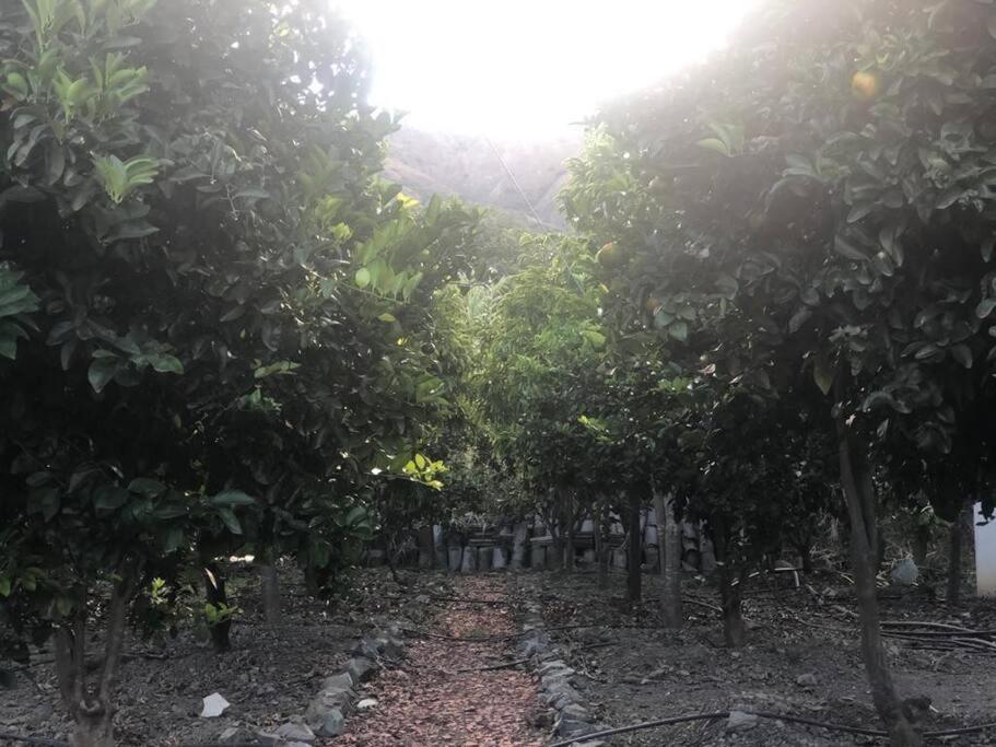 Beautiful Country House La Providencia - Housity