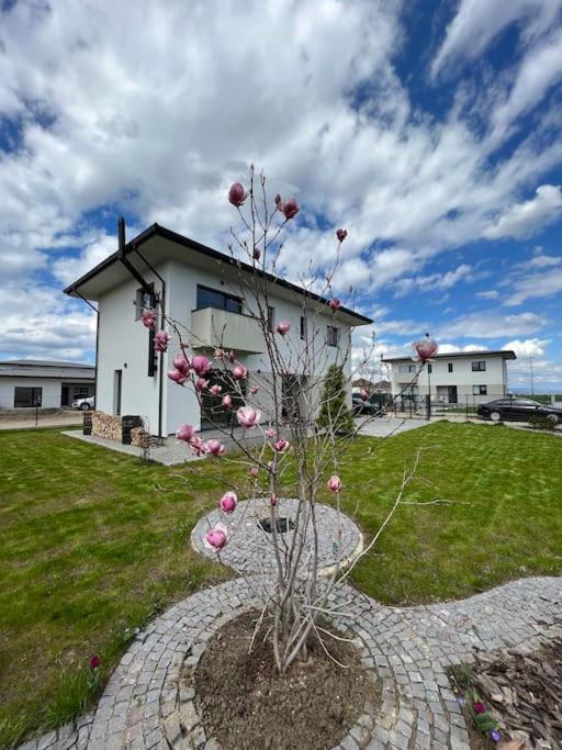 Diferit Family House - Housity
