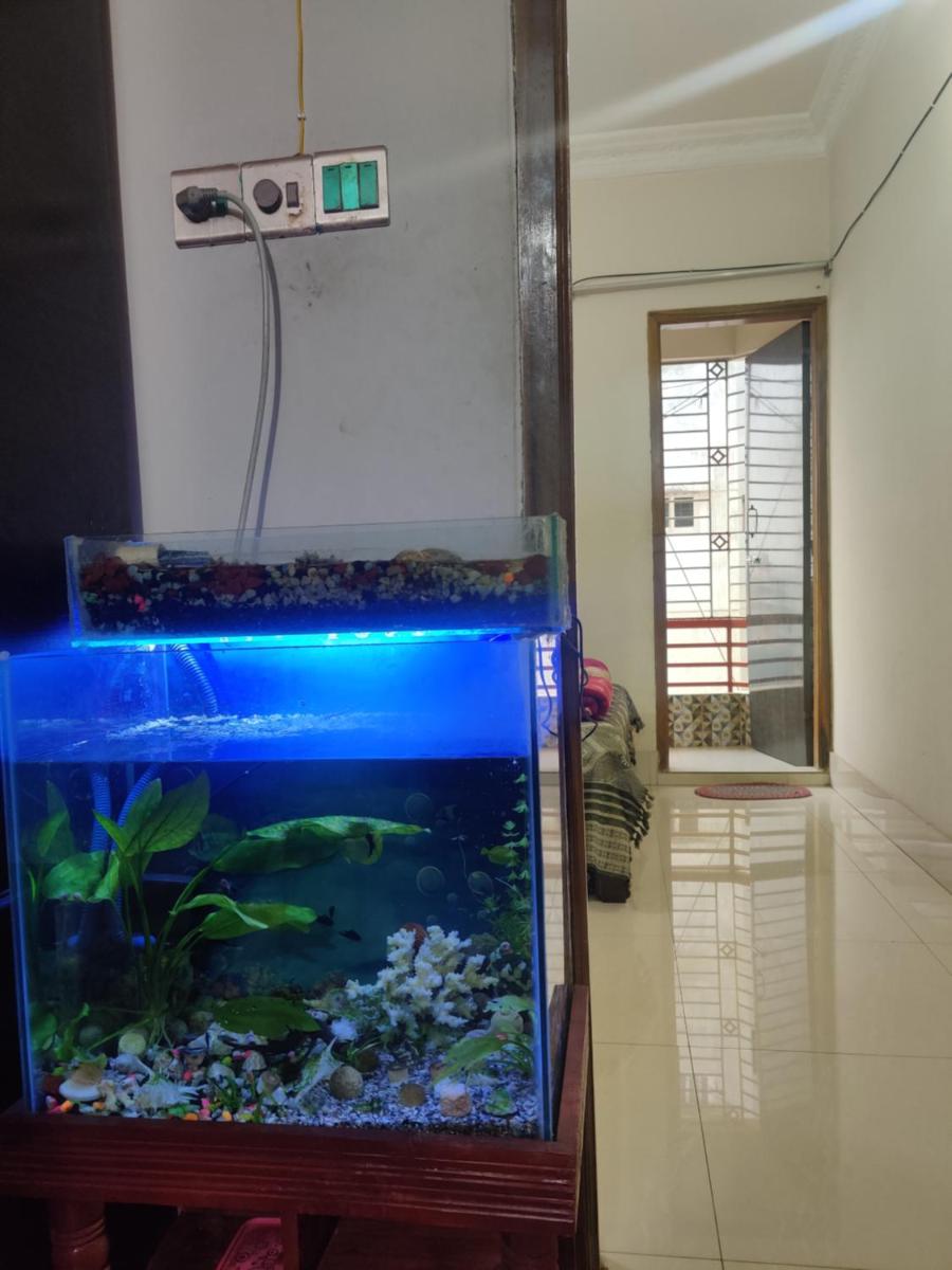 Nafisa's Sweet Homestay - Housity