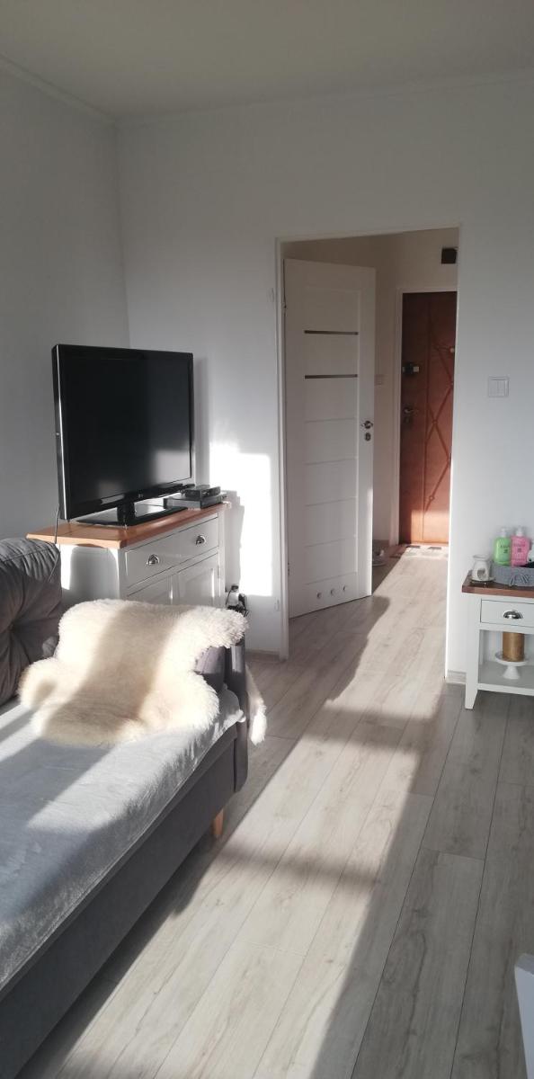 Kawalerka przy termach - Housity